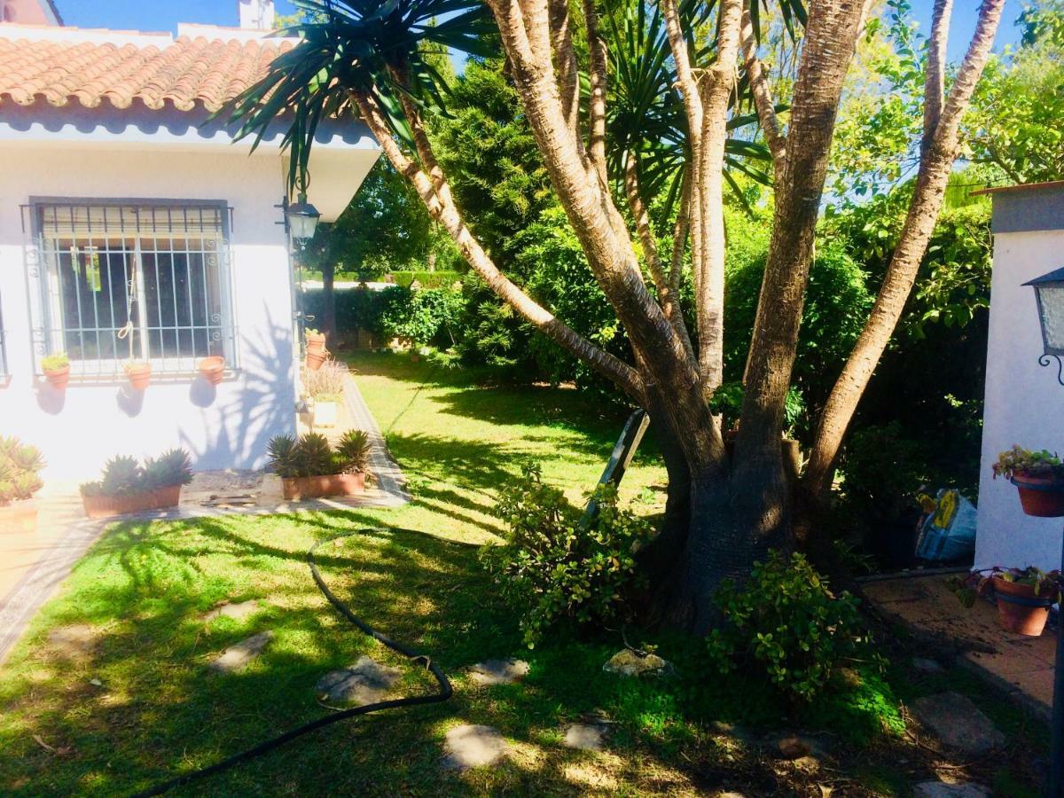 Villa Ferrer Sevilla Gines Exterior photo